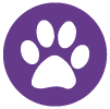 Animales